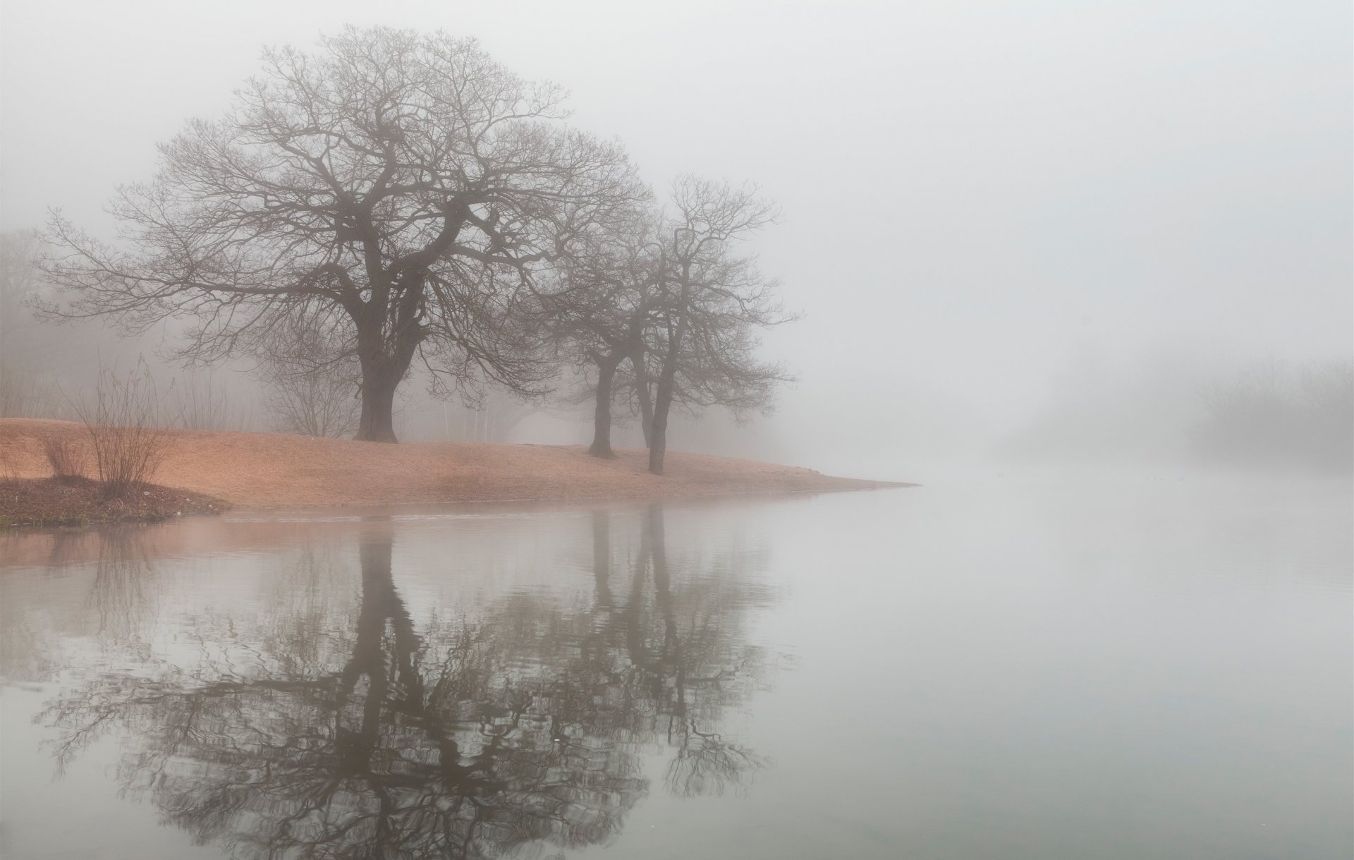 niebla árboles río lago agua reflexión orilla