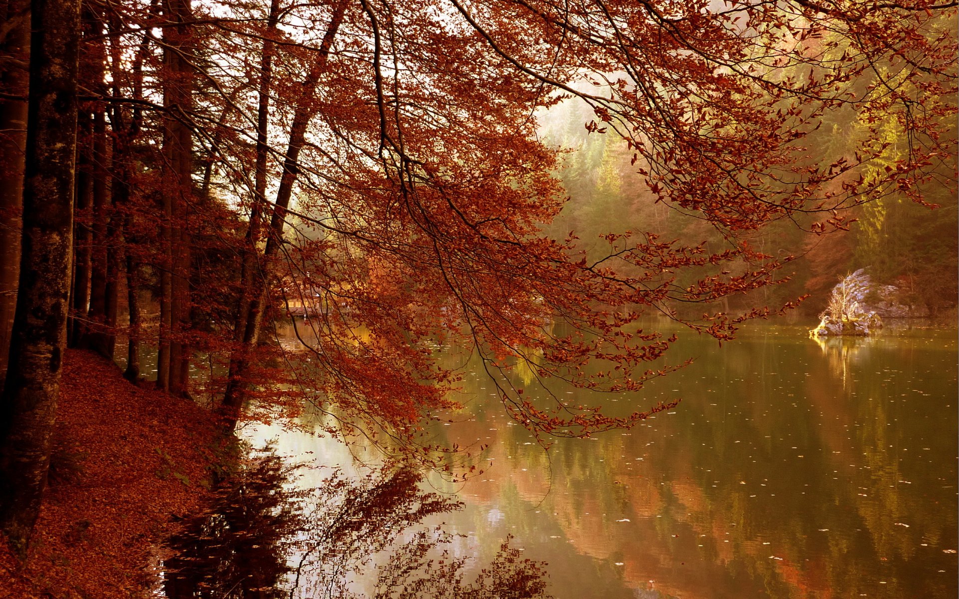 lago otoño árboles