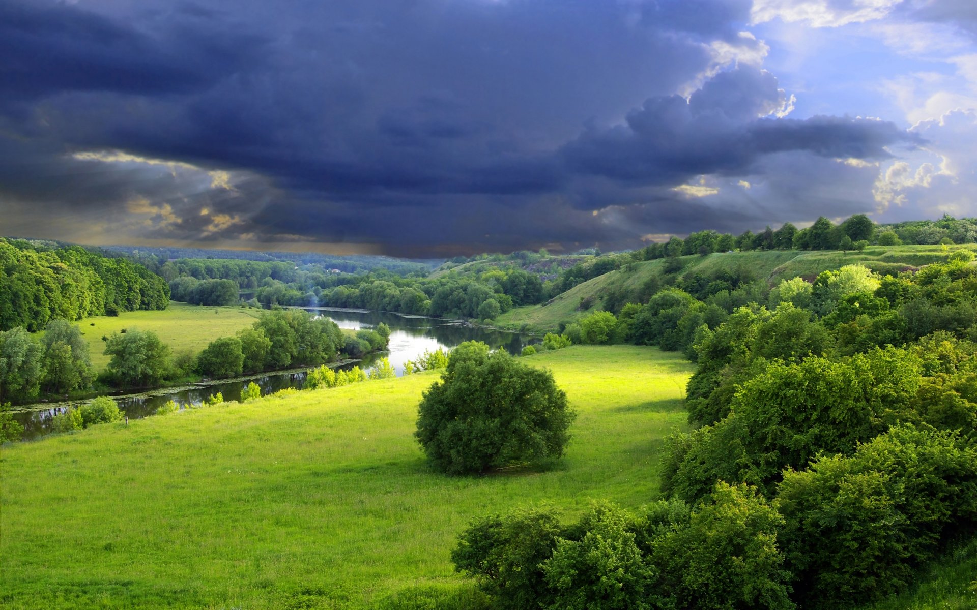 natura fiume estate verde alberi cespugli