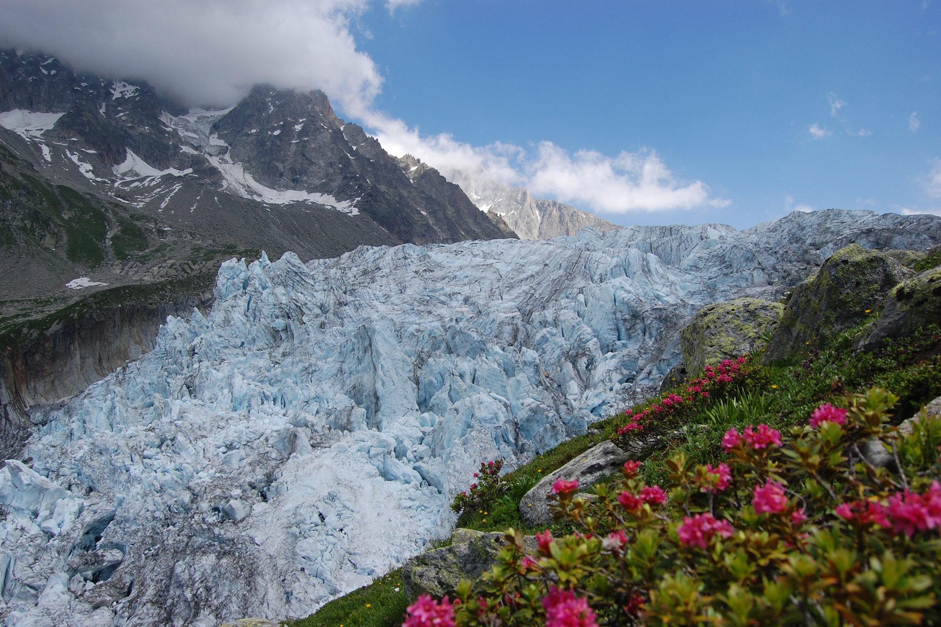 natur frühling alpen berge gletscher wolken blumen