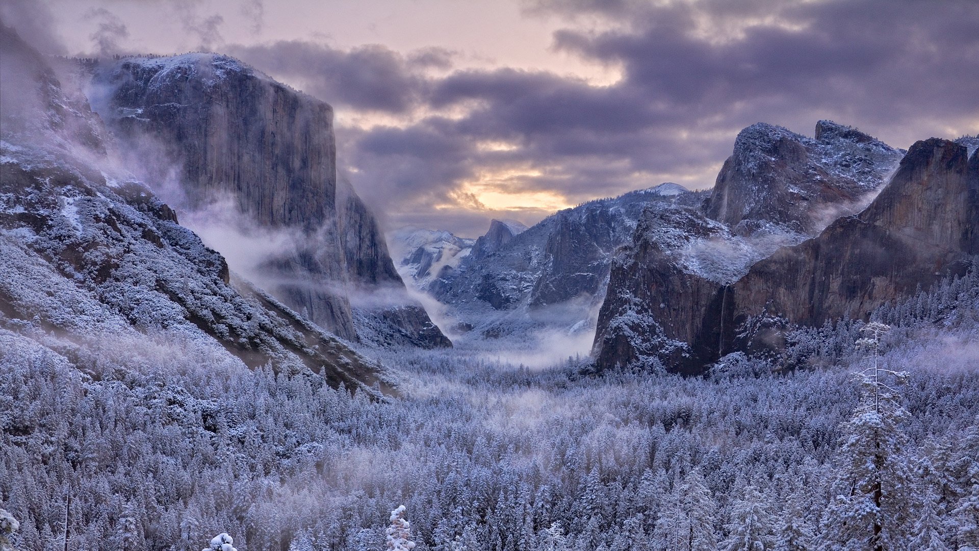 montagnes hiver arbres