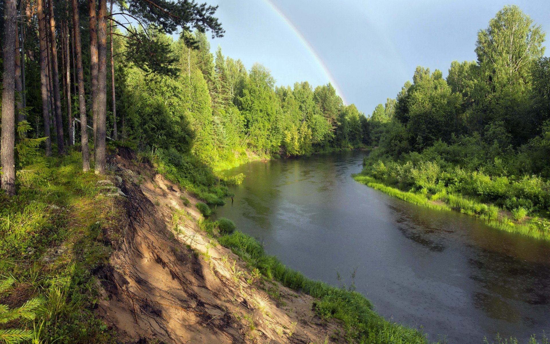 rivière forêt arc-en-ciel nature paysage