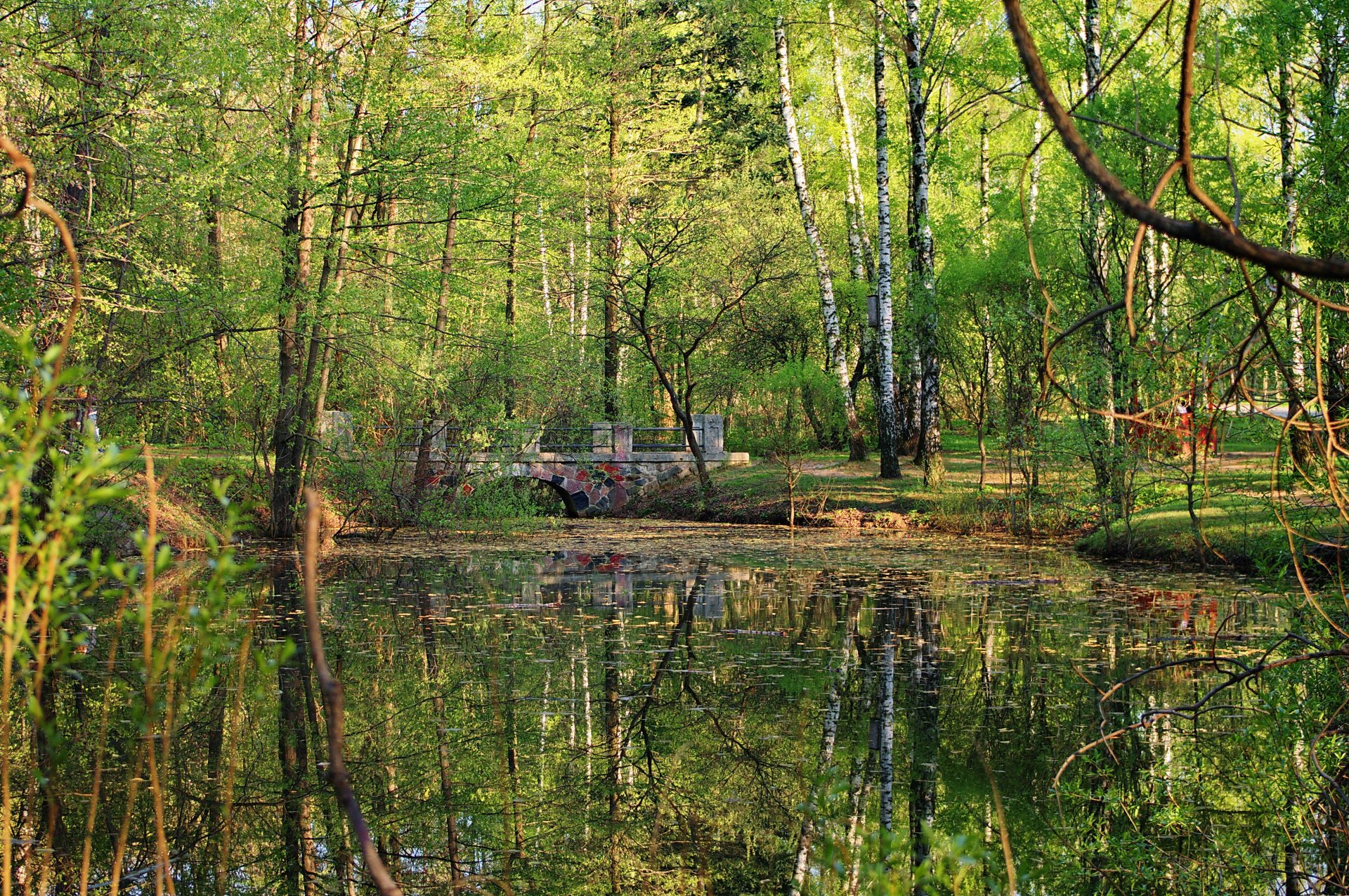 paisaje puente estanque agua reflexión bosque parque árboles plantas