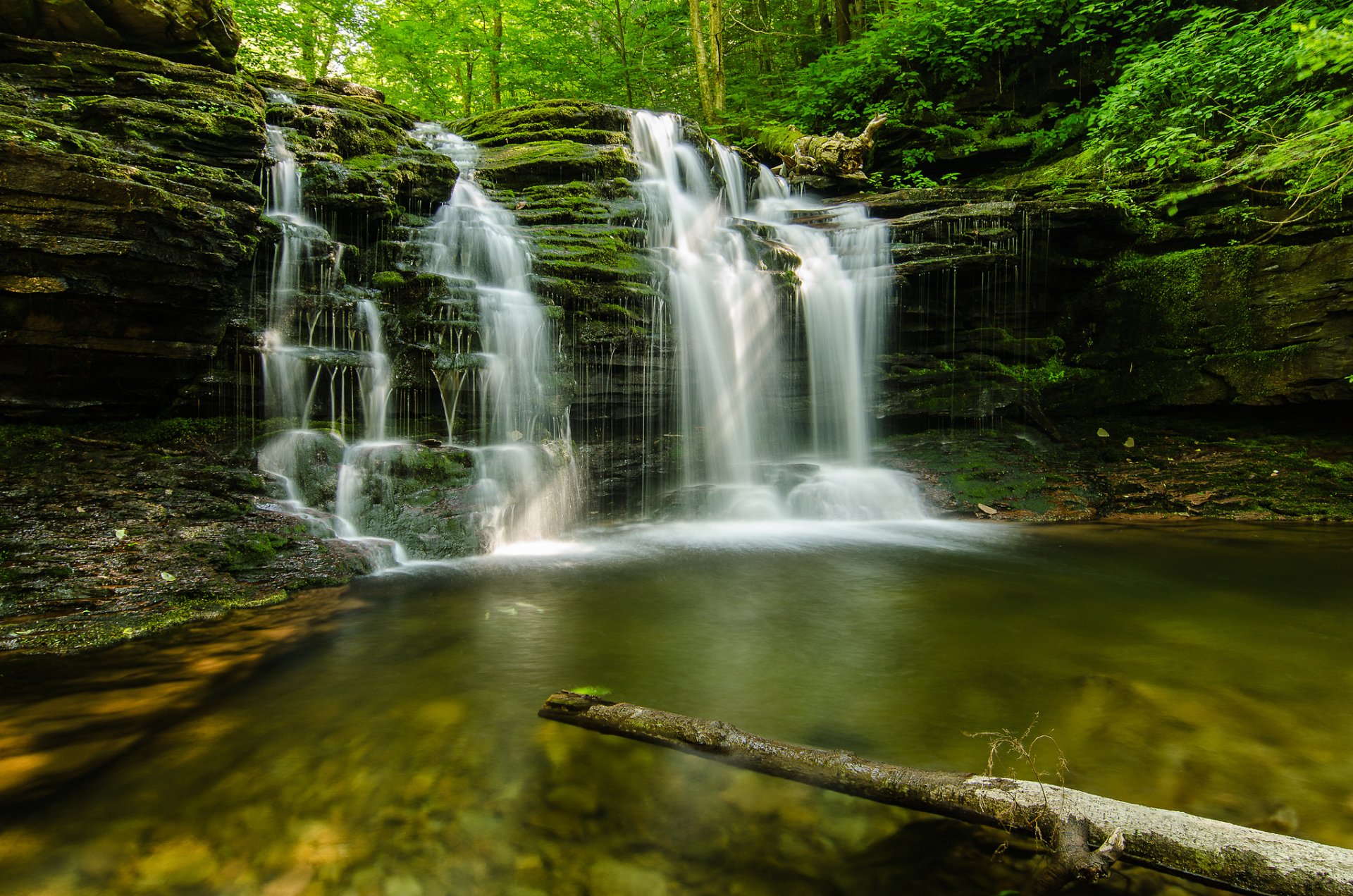 nature forêt été ruisseau pierres