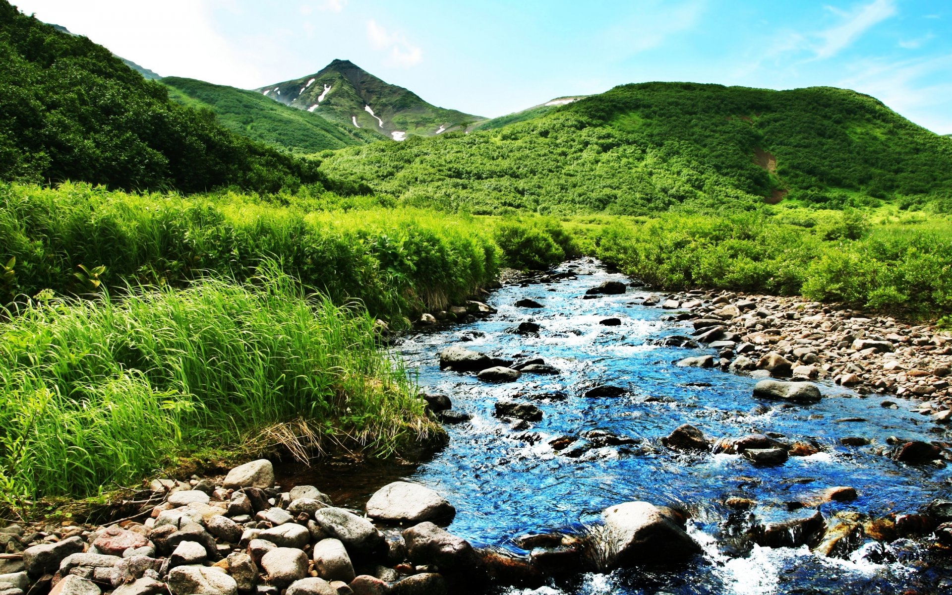 naturaleza montañas río arroyo verano vegetación