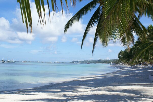 Sable blanc sur la plage de la mer