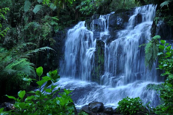 Cascada entre vegetación y piedras