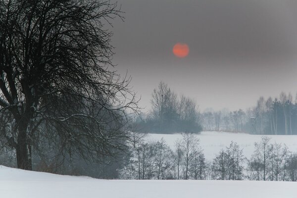 Hiver nature enneigée soleil rouge