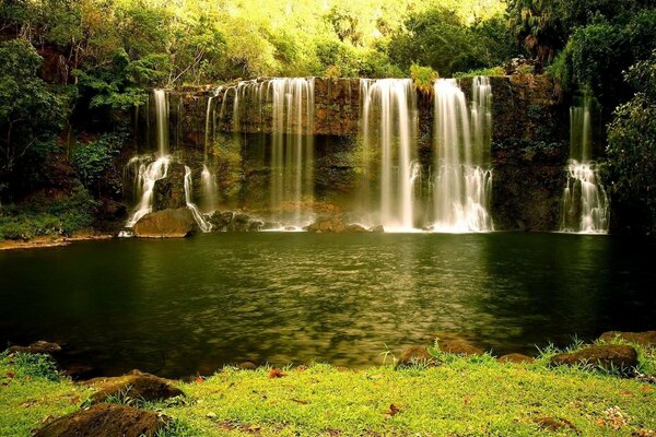 Schöner Wasserfall und See im Wald