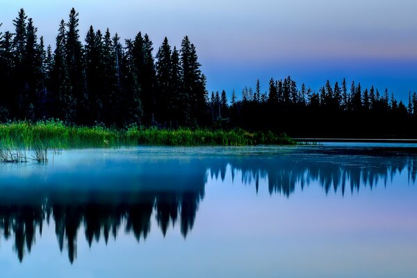 Riflessi della foresta in un lago nebbioso