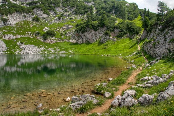 Die Natur ist die Schönheit der Reflexion von Gras, Steinen, Tropen das Gehirn ruht gerade aus