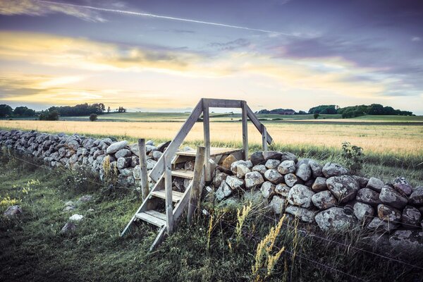 Fondos de Escritorio de campo