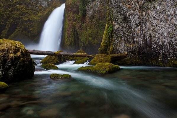 Río rápido de la cascada. Rocas en el bosque