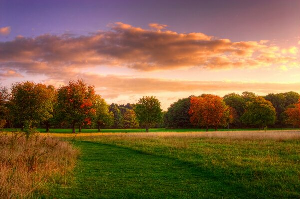 Malerische Waldlandschaft. Der Herbstwald wird mit Farben gespielt. Sonnenaufgang im Herbstwald