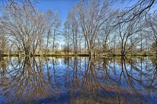 La réflexion de la forêt est très belle quand il y a un lac en bas