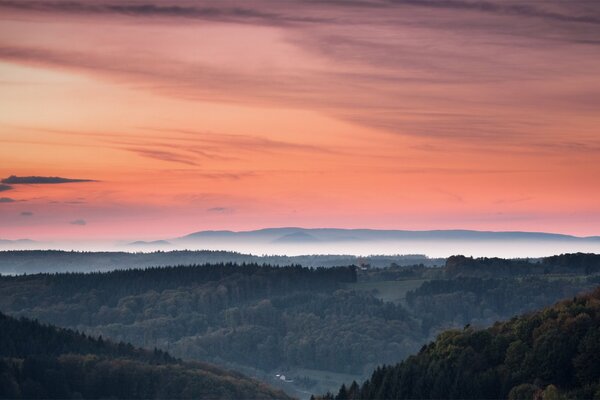 Coucher de soleil orange sur fond de forêt