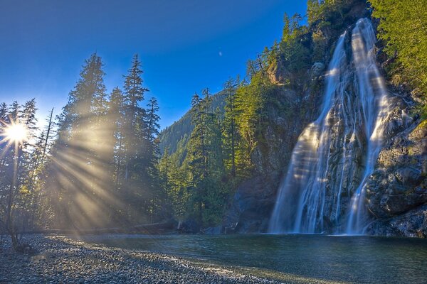 Cascade rocheuse parmi les pins