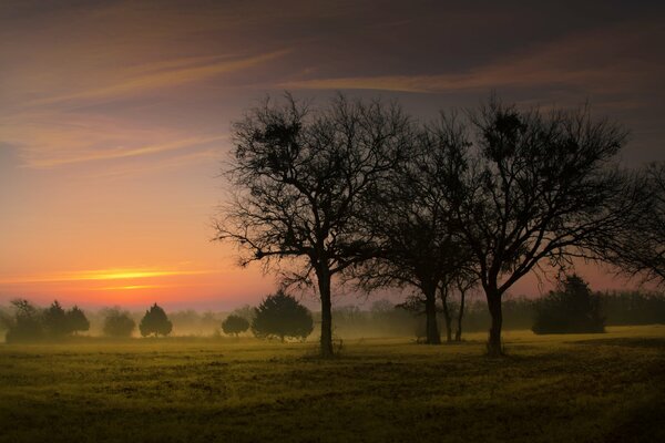 Beau lever de soleil sur le champ dans le brouillard