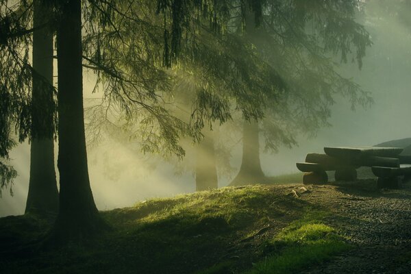 Una panchina di pietre in una foresta oscura e nebbiosa