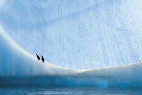 Imaginary photo with penguins in Antarctica