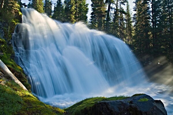 A large waterfall on the background of a forest