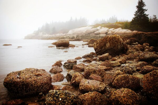 Morning in New England on a rocky seashore. Light morning fog on the coast of England