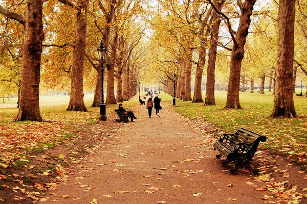 People walk in the autumn park