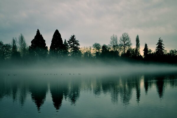 Bruma de niebla del amanecer sobre el río