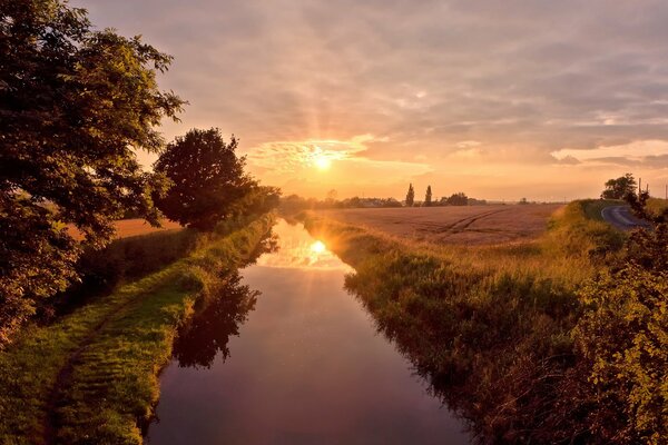 Sunset reflection in the river near the forest