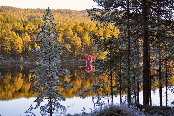 Maison sur la rive de conifères de la rivière en Norvège