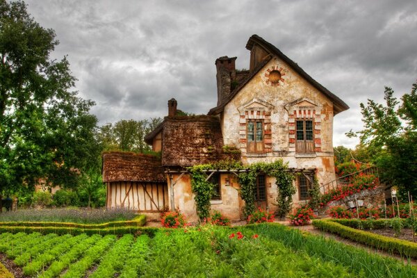 Altes Haus in Blumen