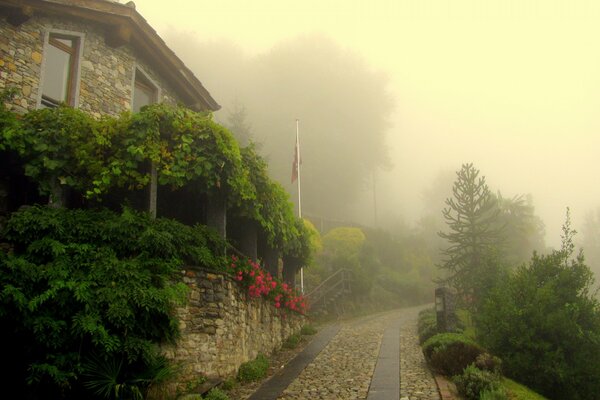 La strada del mattino in una mattina nebbiosa