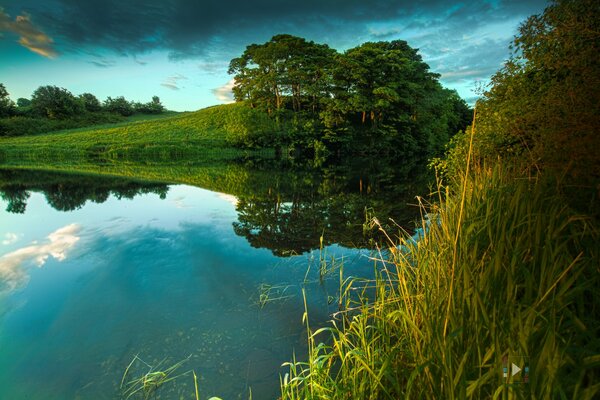 Beautiful nature in summer on the river