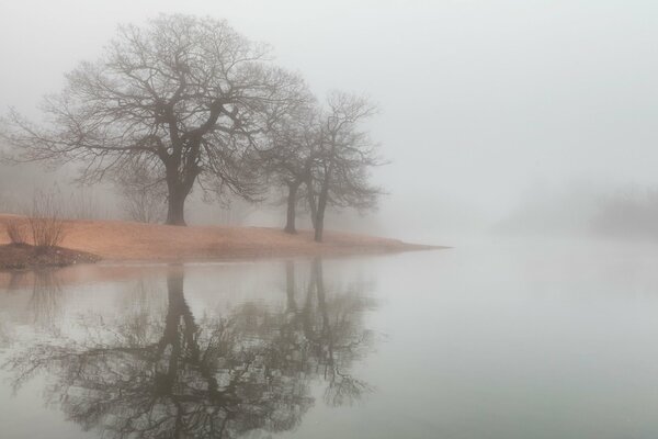 Foto nebbiosa. Alberi nel riflesso del fiume