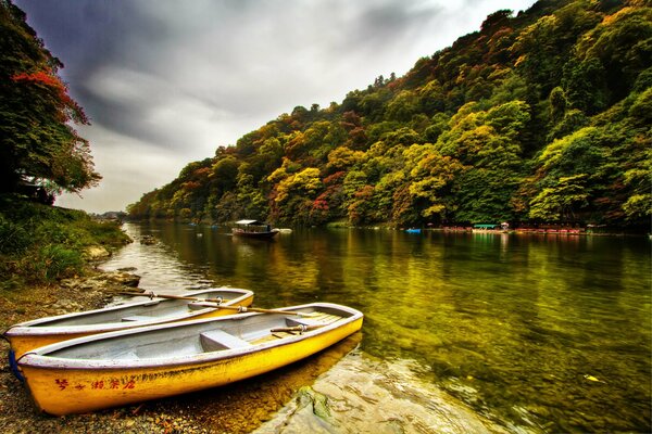 Port de plaisance près de la forêt