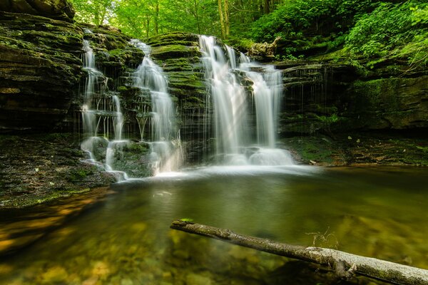 Piccola cascata di montagna nella foresta