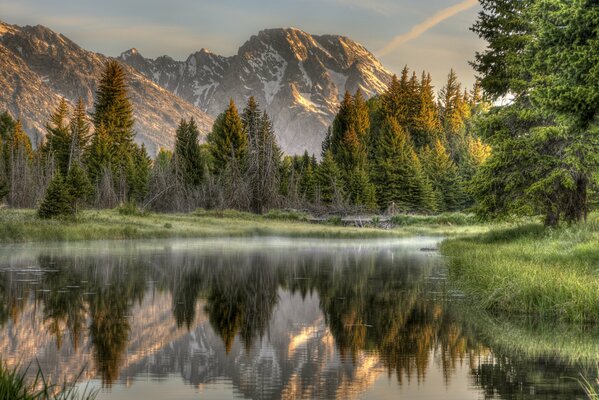 Reflejo del bosque y las montañas en el río