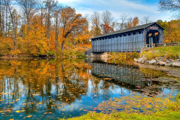 Naturaleza en otoño en el puente del río