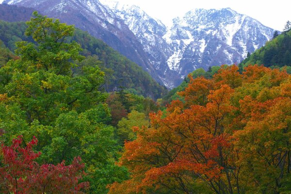 Colori autunnali giapponesi ai piedi delle montagne