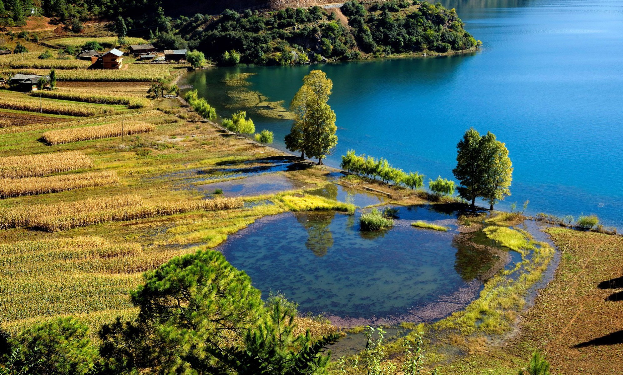 lac champs récolte semis arbres verdure maison village ferme beauté