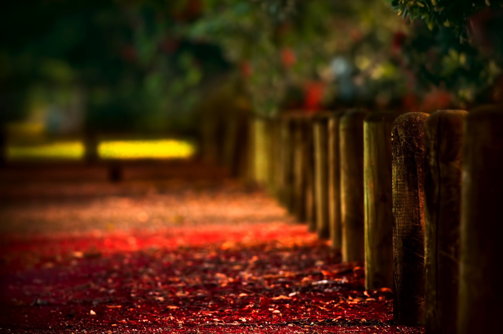 autunno recinzione recinzione sfocatura bokeh