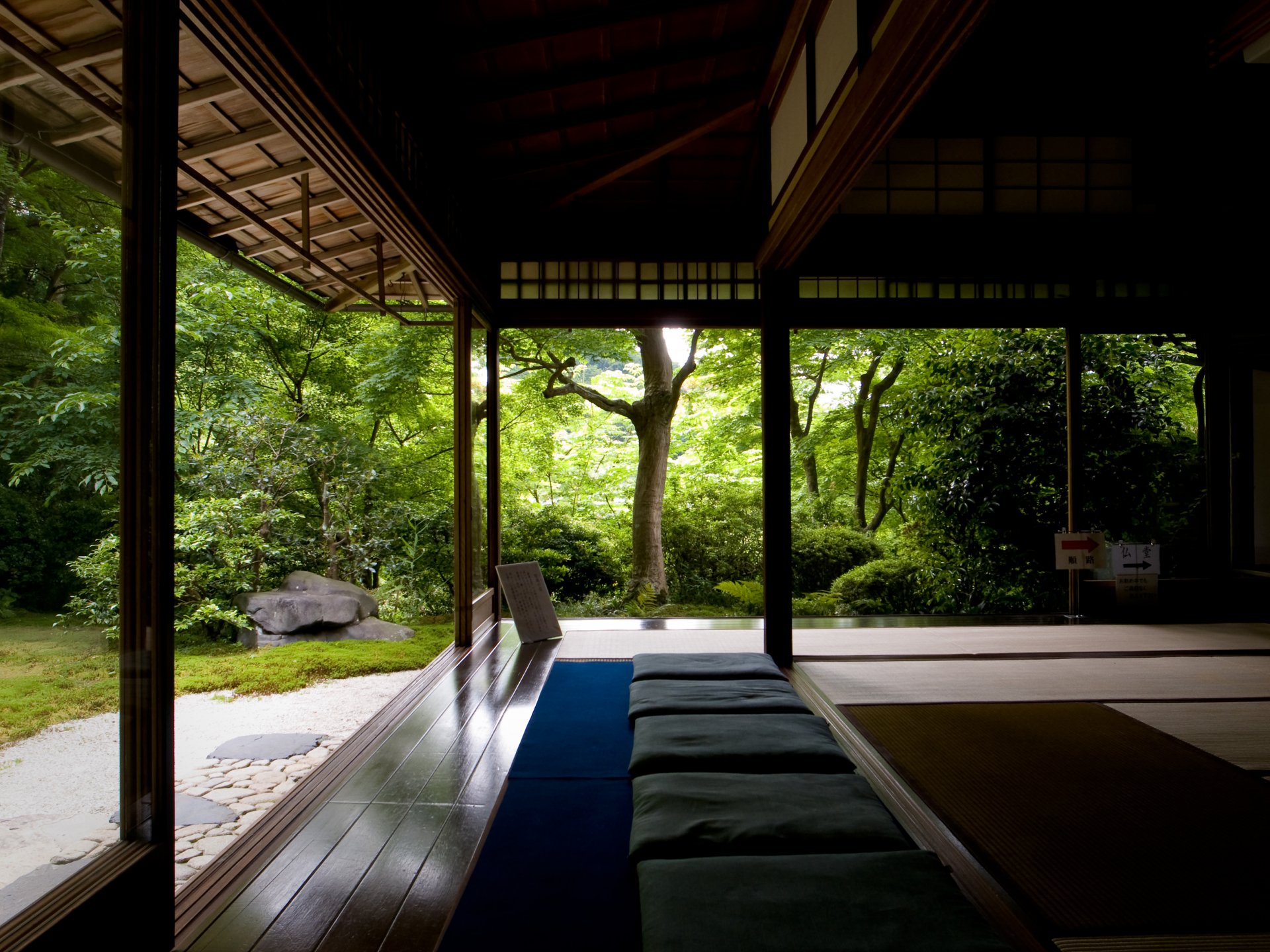 forêt temple arbres zen silence détente méditation recherche maison