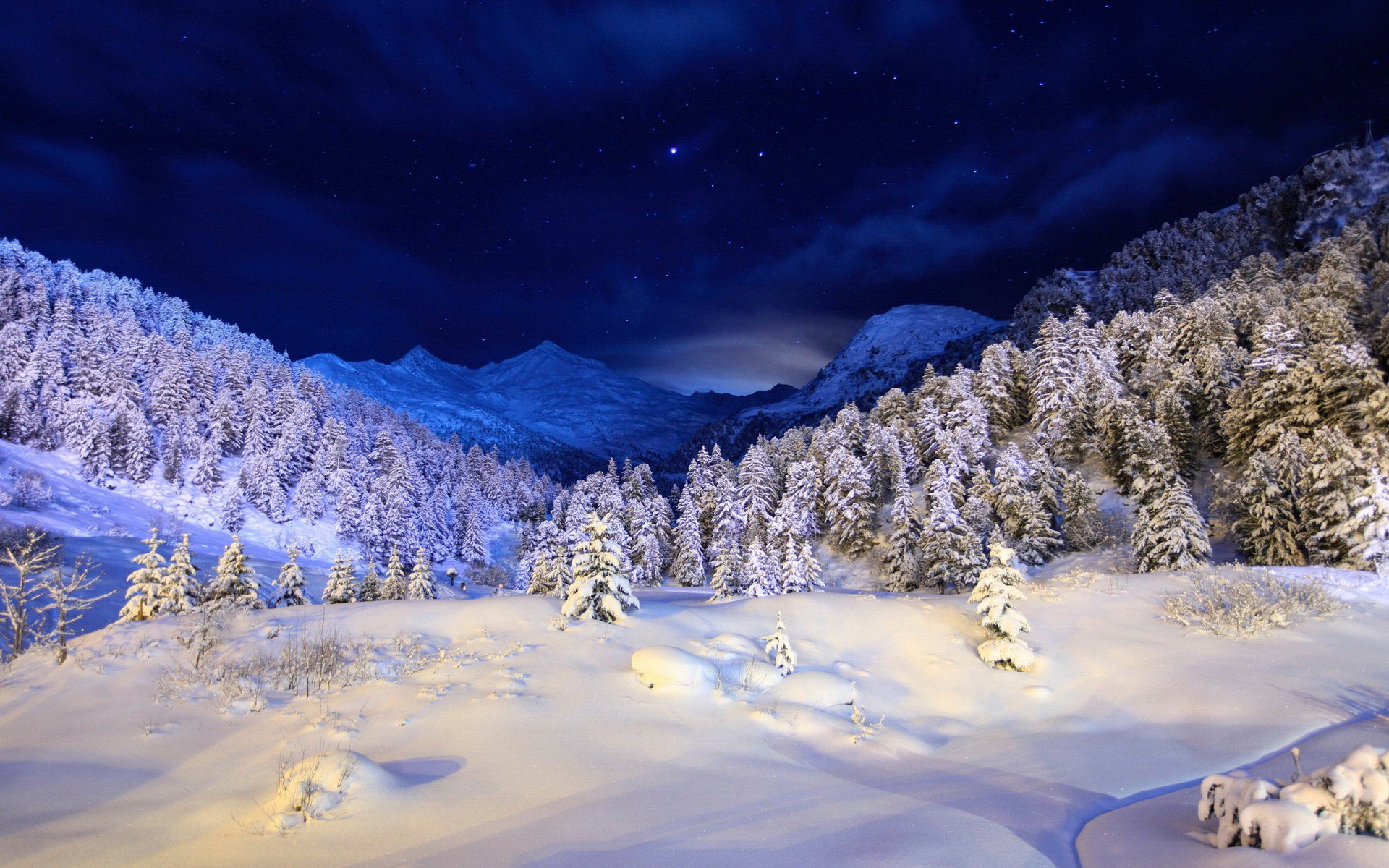 winter schnee berge bäume weihnachtsbäume nacht blau himmel