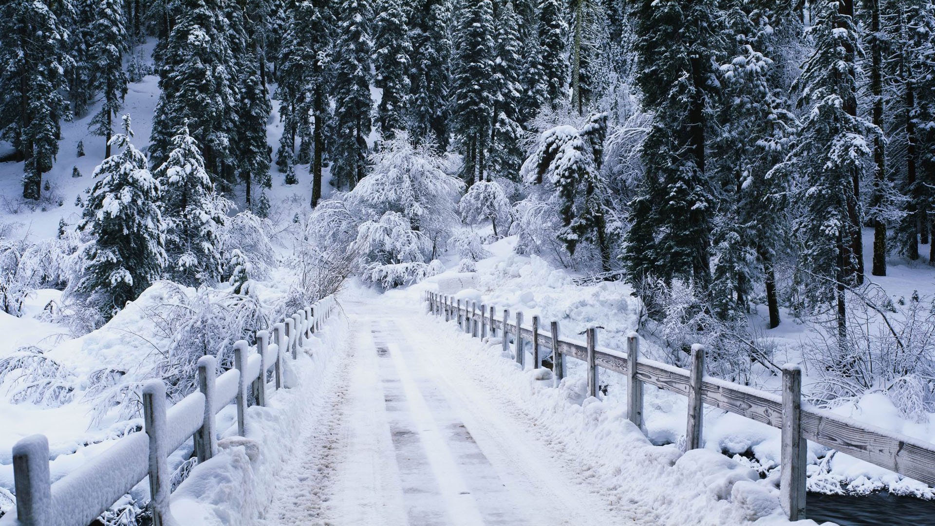 winter bridge forest road river