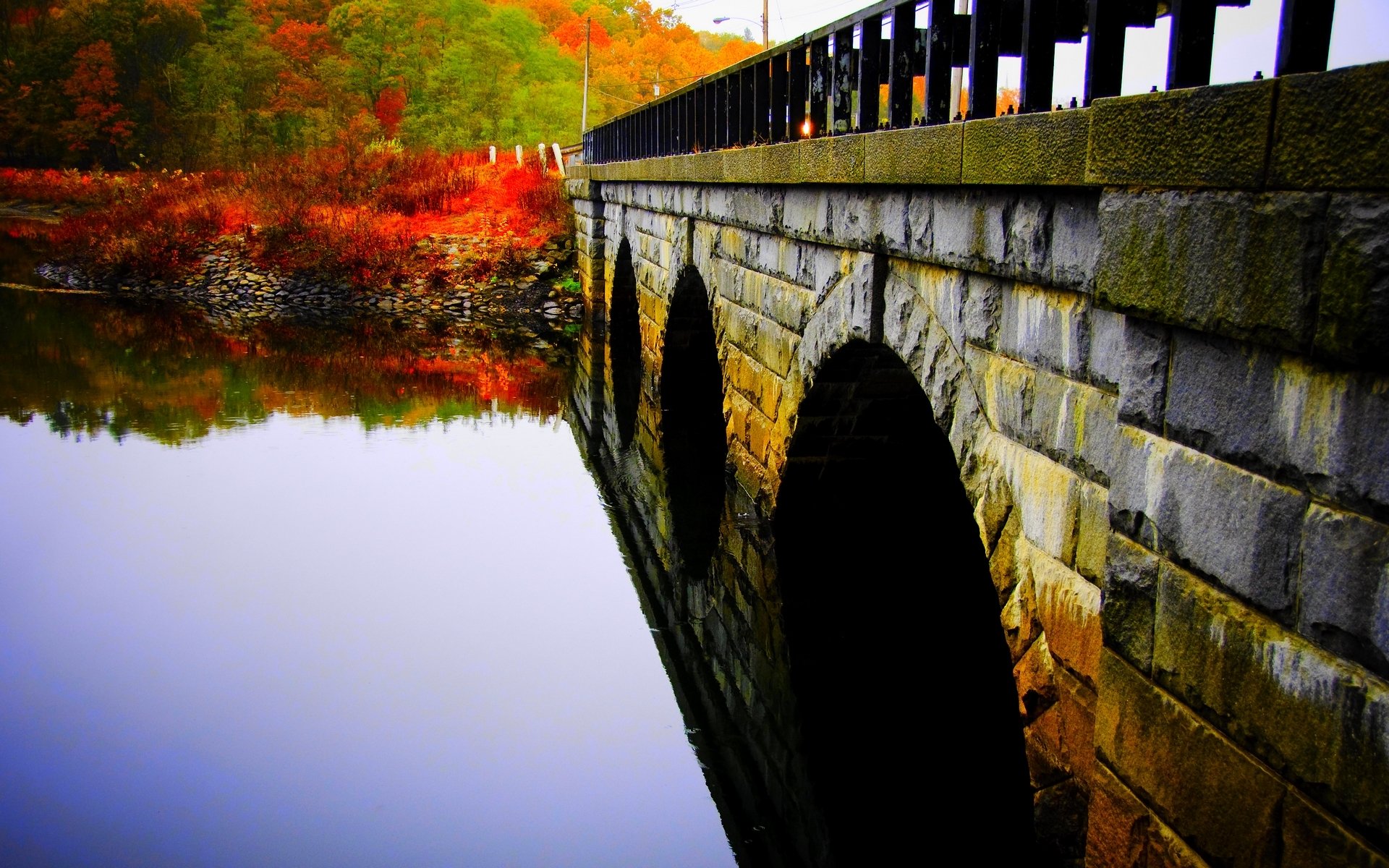 otoño río agua superficie piedra puente parque árboles