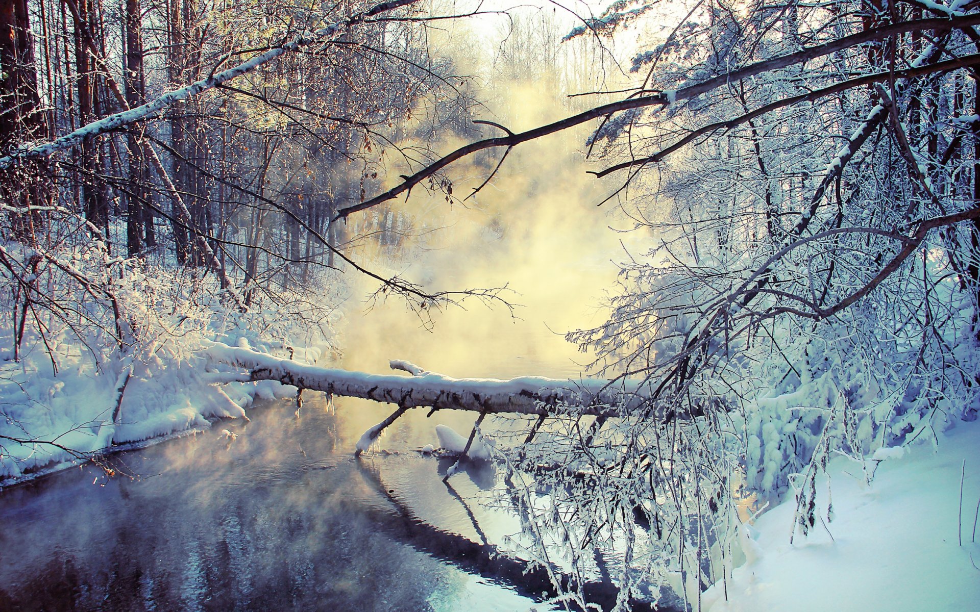 winter see schnee dampf zweige