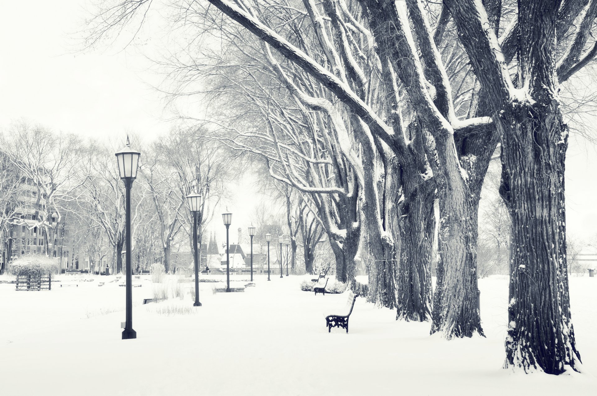 parco lanterna negozio inverno neve