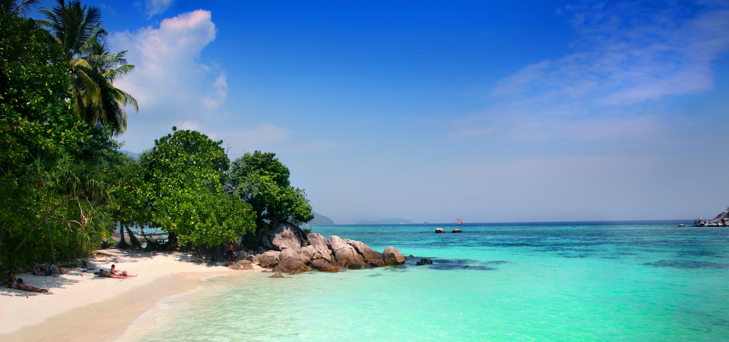 ozean tropen palmen exotisch strand