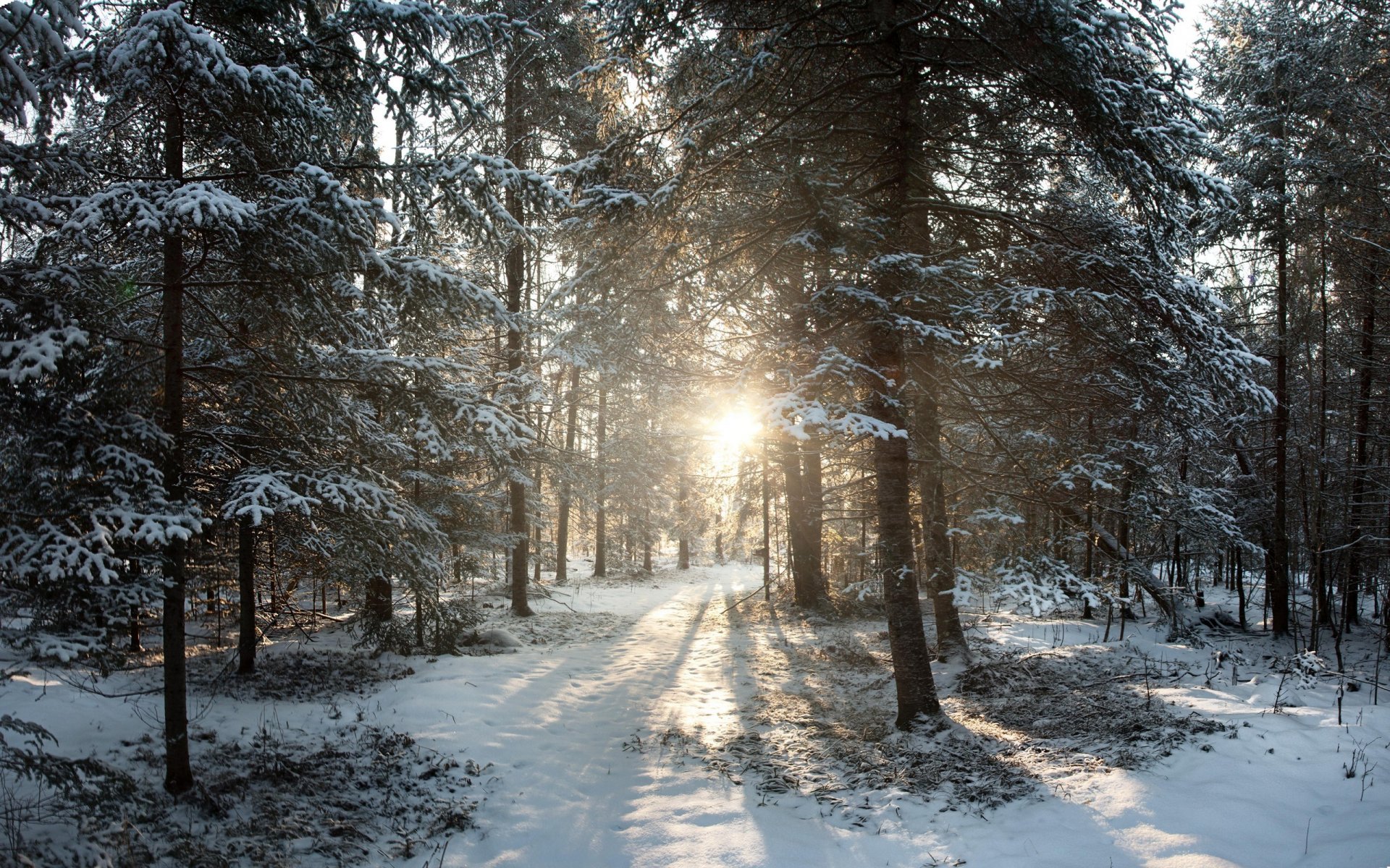 vereinigte staaten von amerika wisconsin phillips north woods winter schnee sonnenaufgang winter