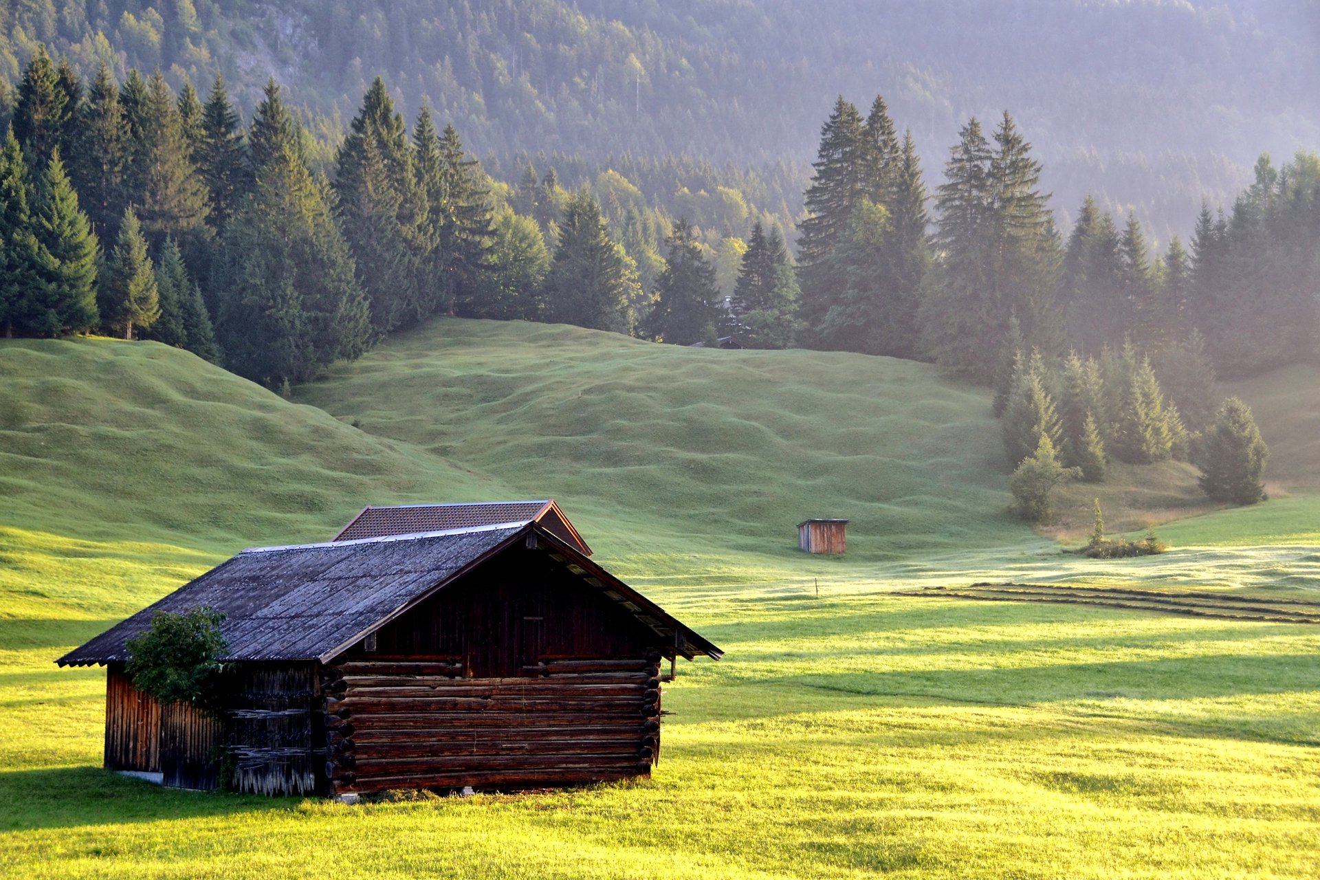 natur berge hang gras hütte wald